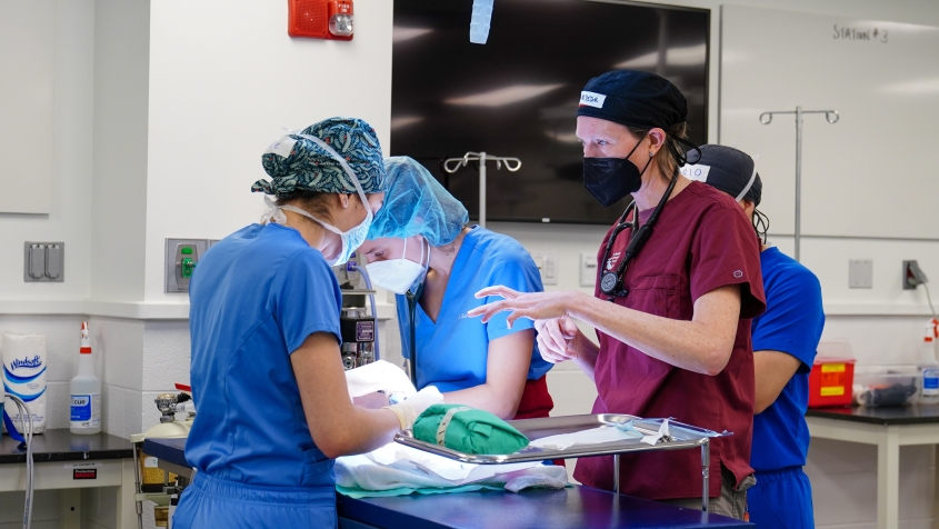 shelter medicine veterinarians in surgery