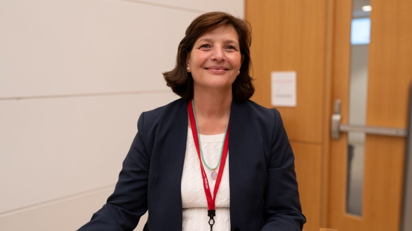 Julia Felippe