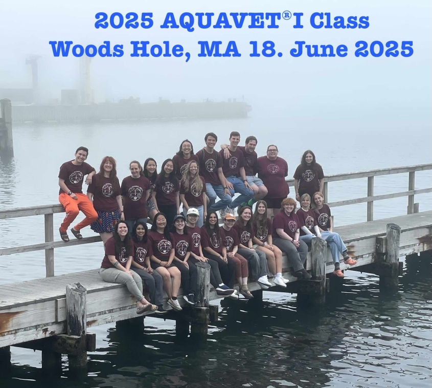 2025 AQUAVET One class photo on Woods Hole dock