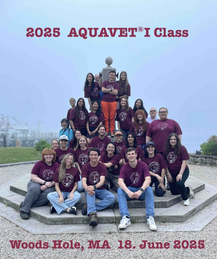 2025 AQUAVET One class photo around Woods Hole statue