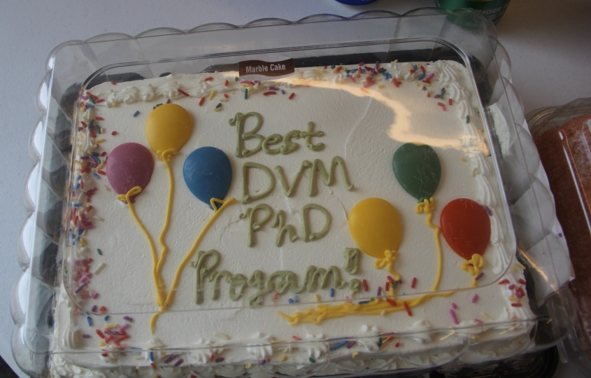 pic of a cake