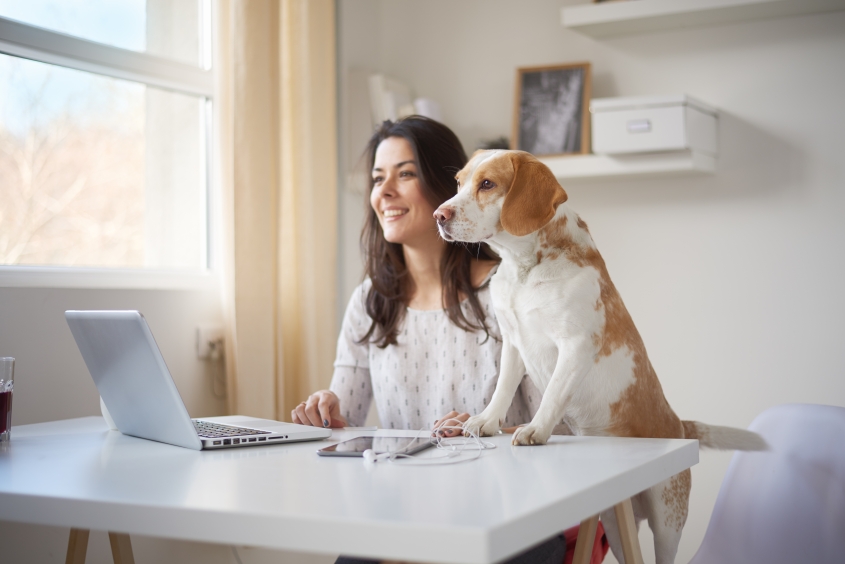 Businesswoman looking through window with her dog in home office . B