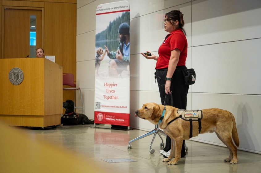Woman with a service talk giving a talk in a lecture hall