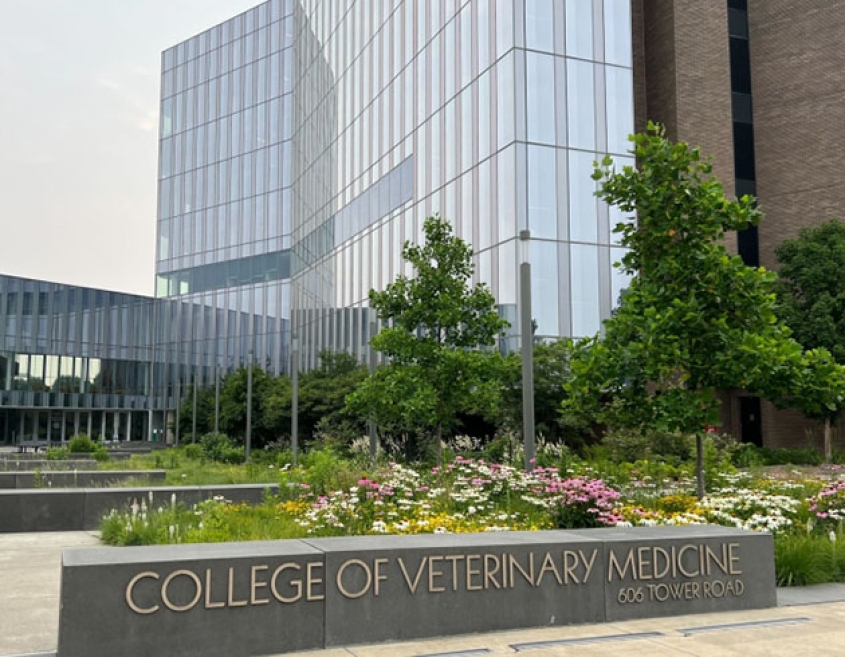 Exterior view of the CVM building