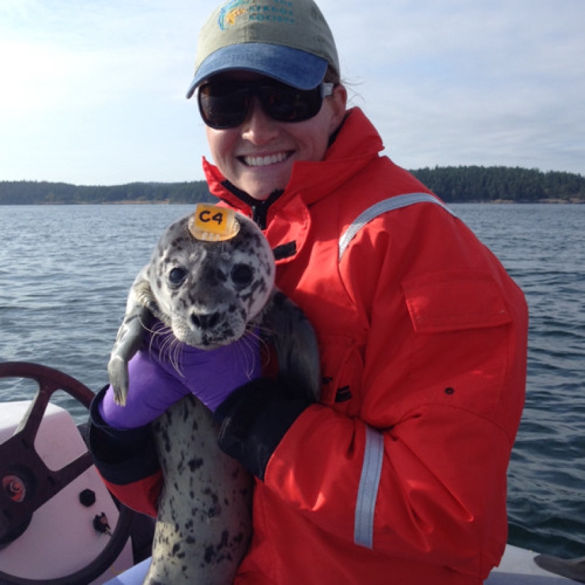 Person holding a seal pup on a boat