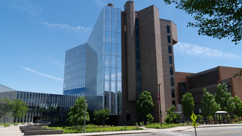 Exterior of CVM building and tower with college sign in foreground