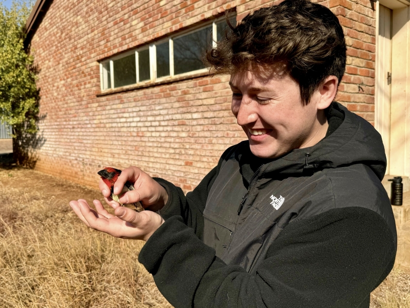 A student holding a red-headed bird