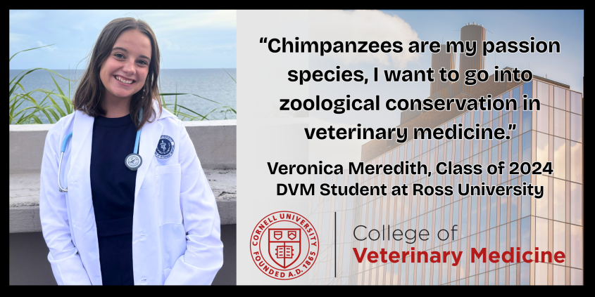 A banner of MPS alumna Veronica Meredith, now a DVM student at Ross University.