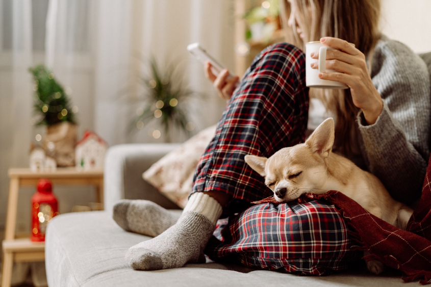 Cozy woman in knitted winter warm socks and sweater with sleeping dog and checkered plaid holding a cup of hot cocoa or coffee, during resting on couch at home in Christmas holidays. Winter drinks