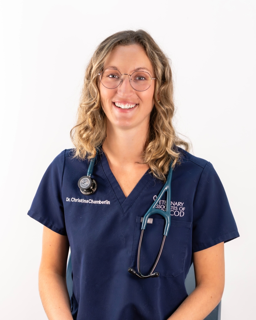 Christina Chamberlin