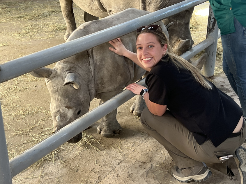 Smiling woman petting a baby rhino through a fence