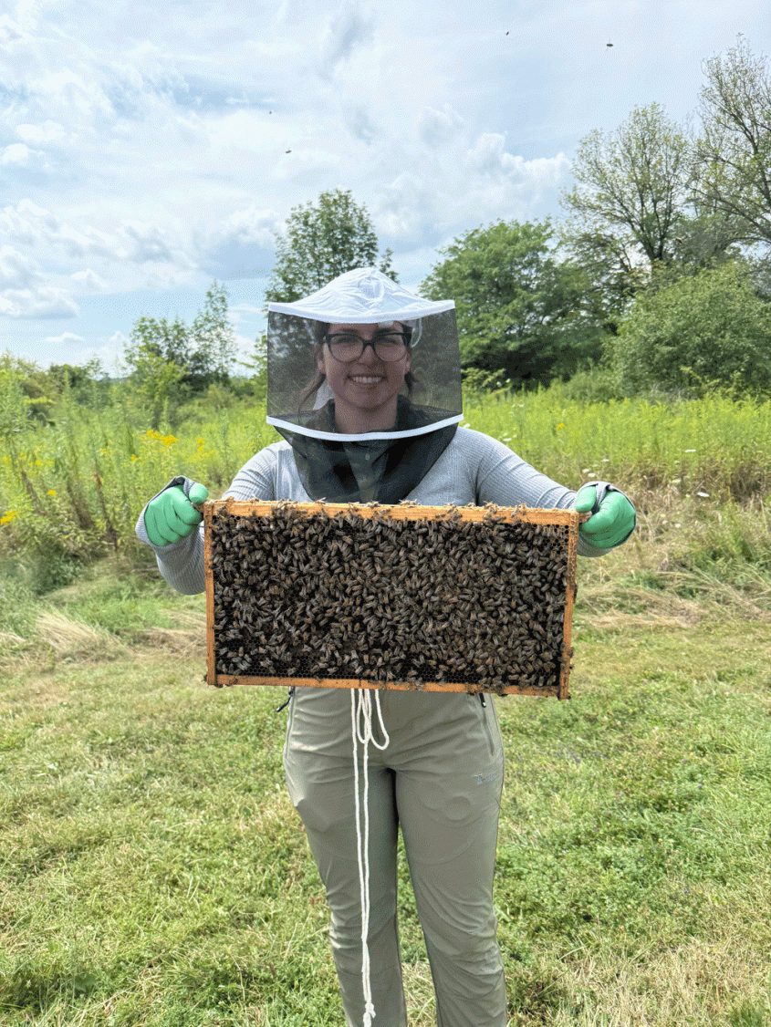 A woman in a bee-keeping suit holds up part of a bee hive.