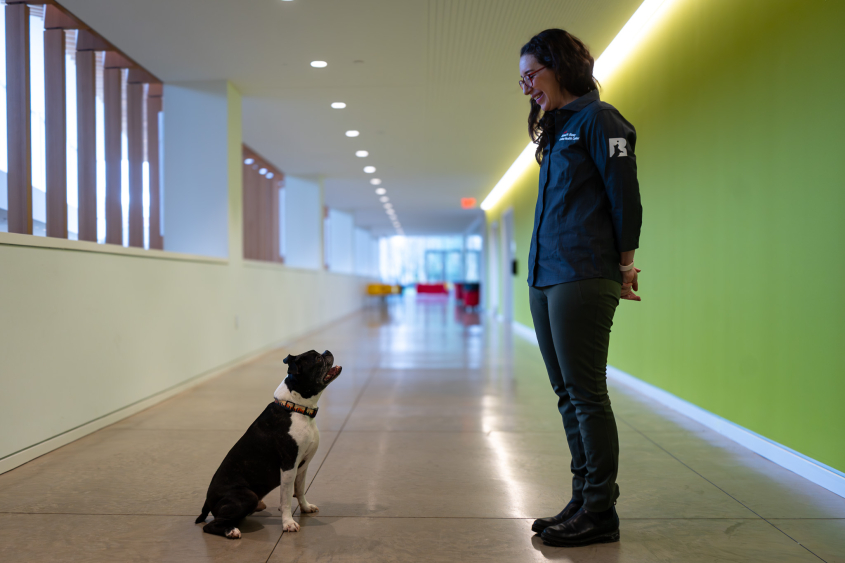 A little black dog stares lovingly at a woman with dark hair. 