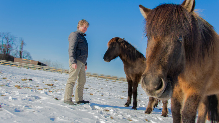 Bettina Wagner with Icelandic horses