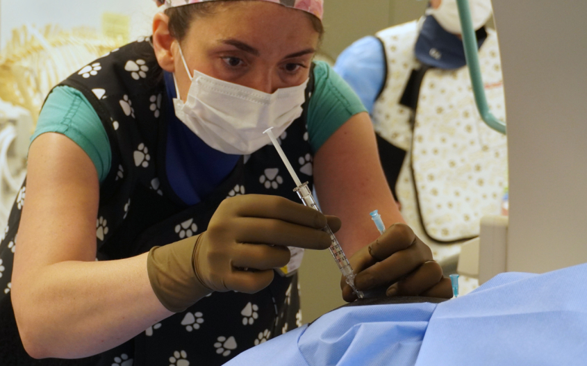 A doctor with a surgical mask and a syringe
