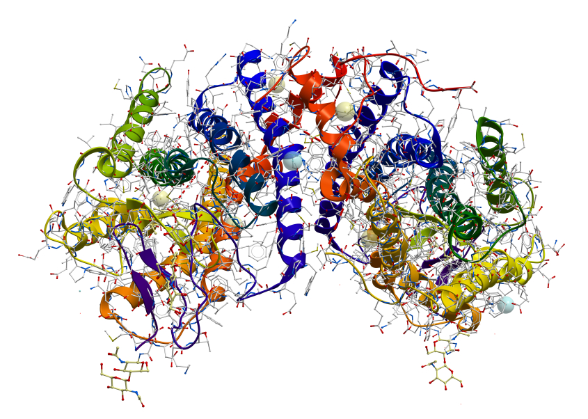3D model of a protein