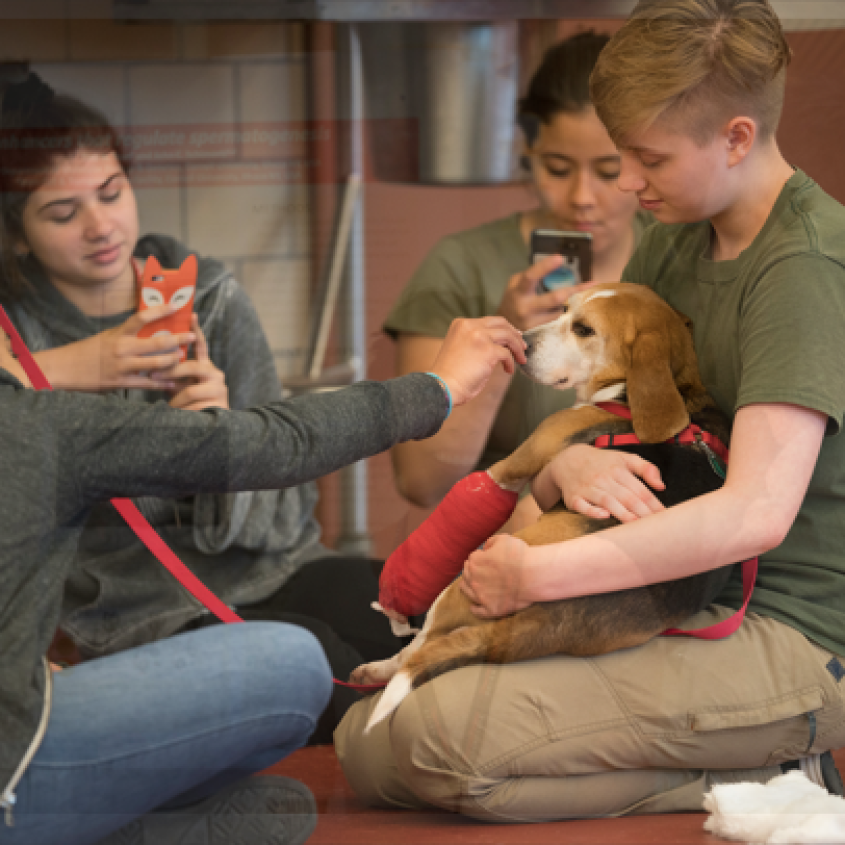 Students and children with puppies