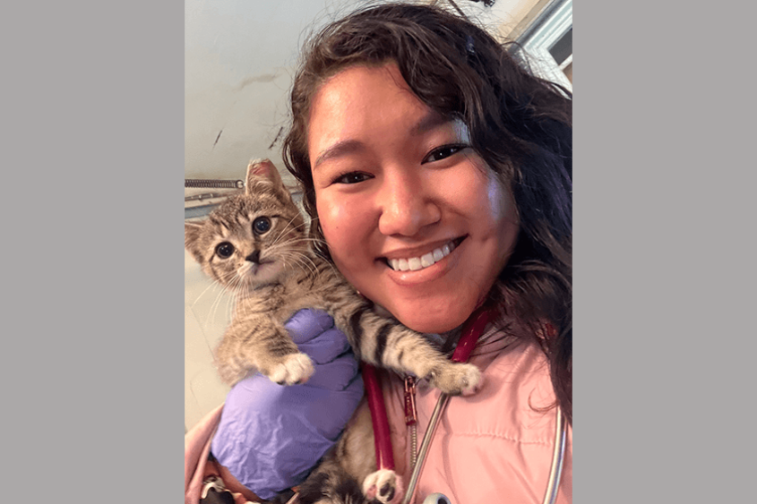 Amanda Cheung holding a kitten