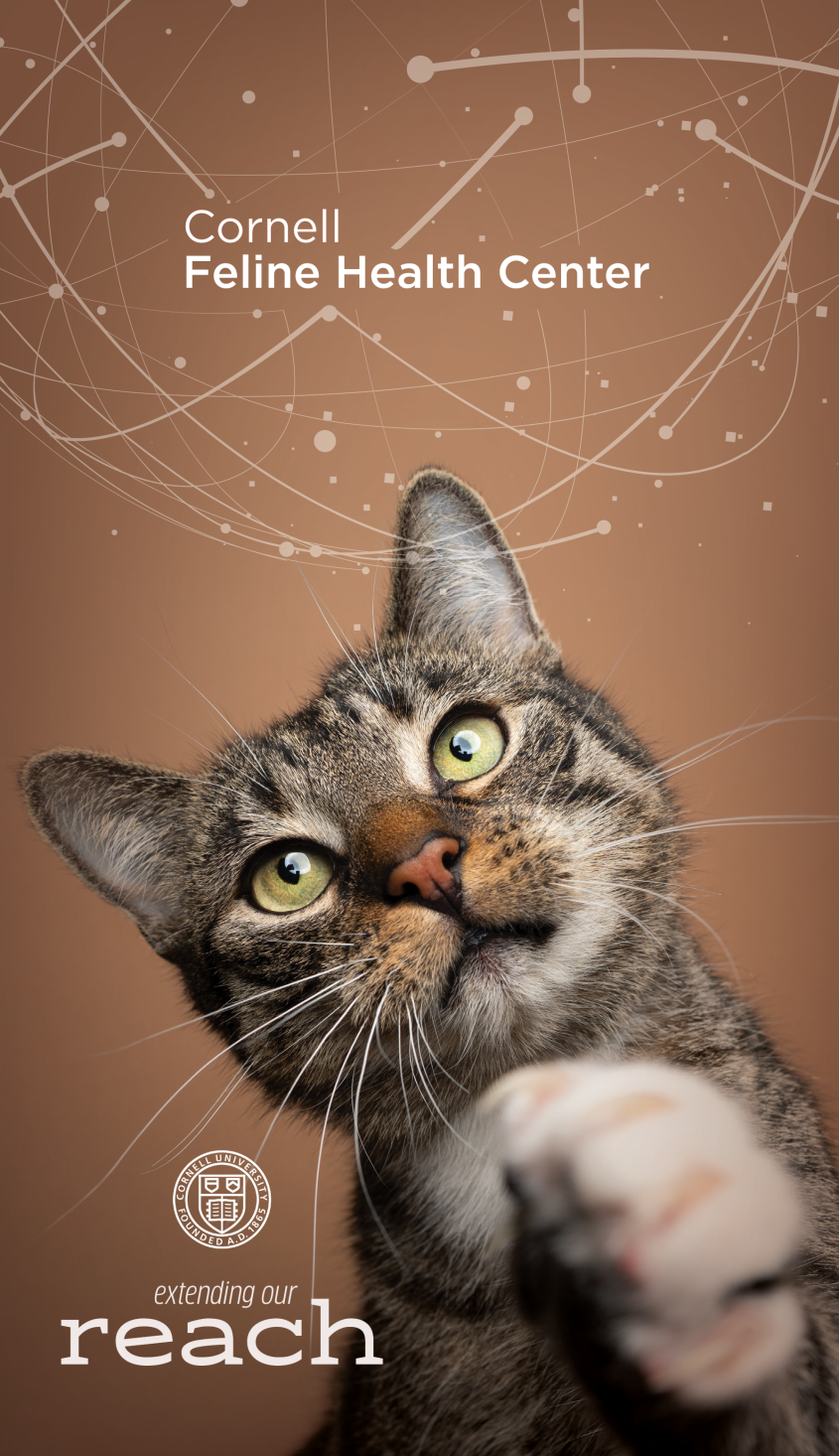 2022 Cornell Feline Health Center Annual Report