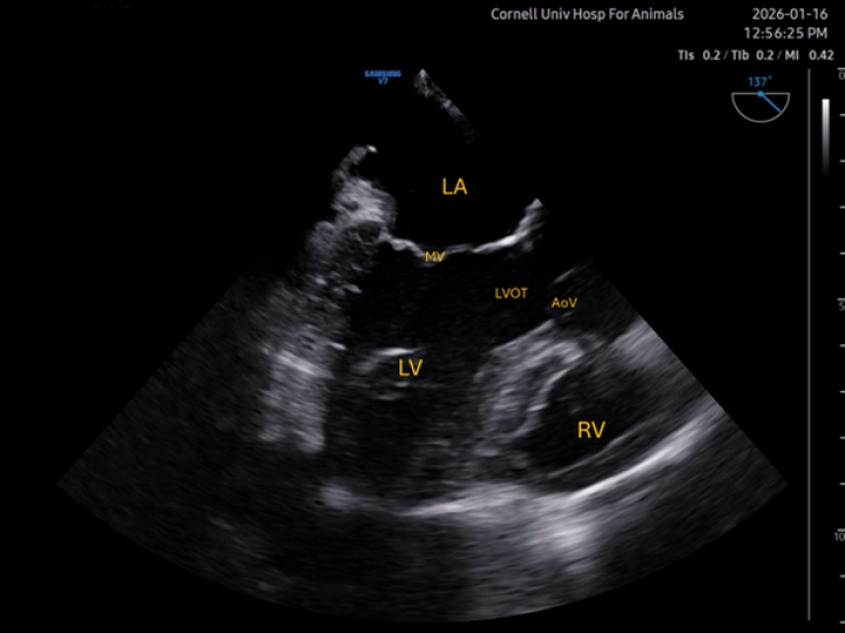 Transesophageal echocardiography of Mid-esophageal long axis