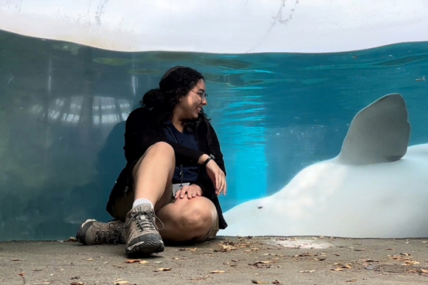 A woman sitting next to an aquarium with a beluga