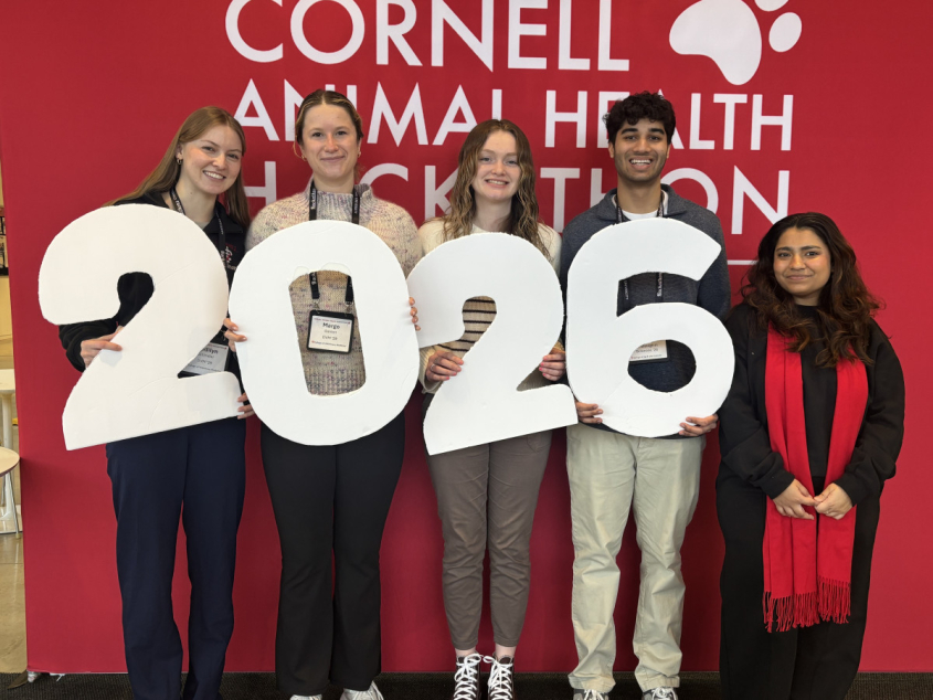 Students at Animal Health Hackathon