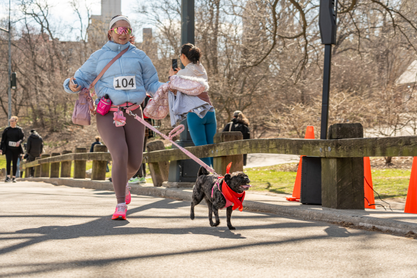 A woman wearing sunglasses runs with a small dog. 