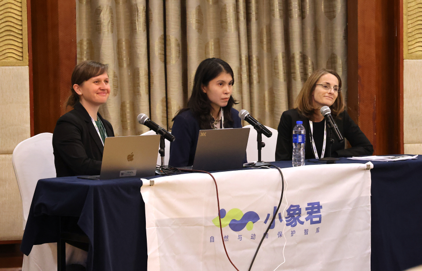 Three women presenting at a conference table