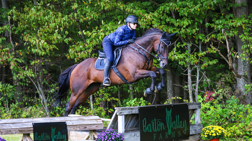 A woman on a horse jumping over an obstacle
