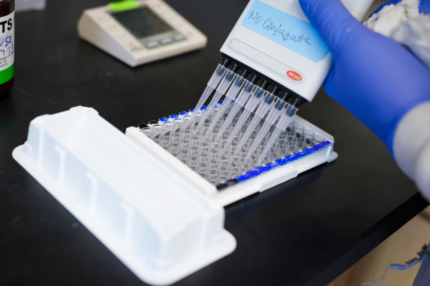 A person pipetting liquid in a plate
