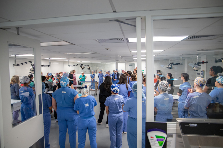A large group of volunteers in scrubs prepare for spay day