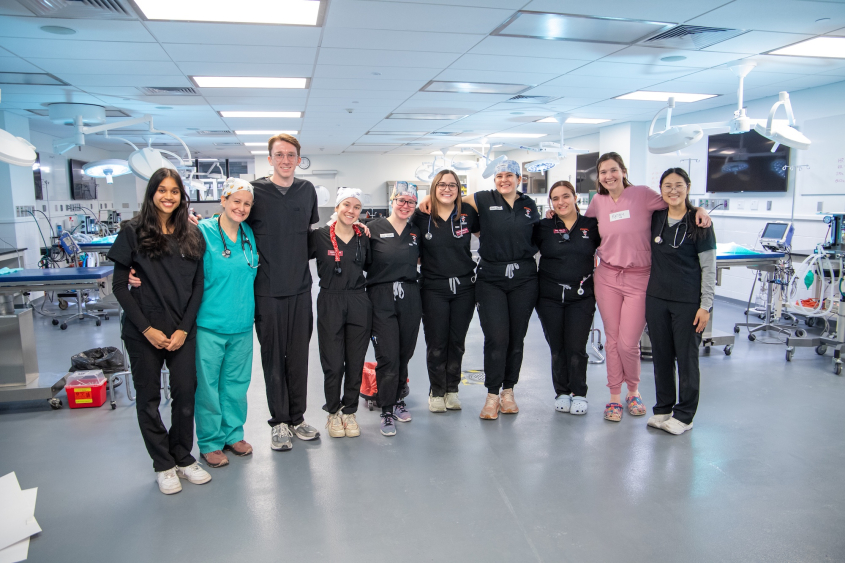 The core organizers of the spay day event in the surgical room