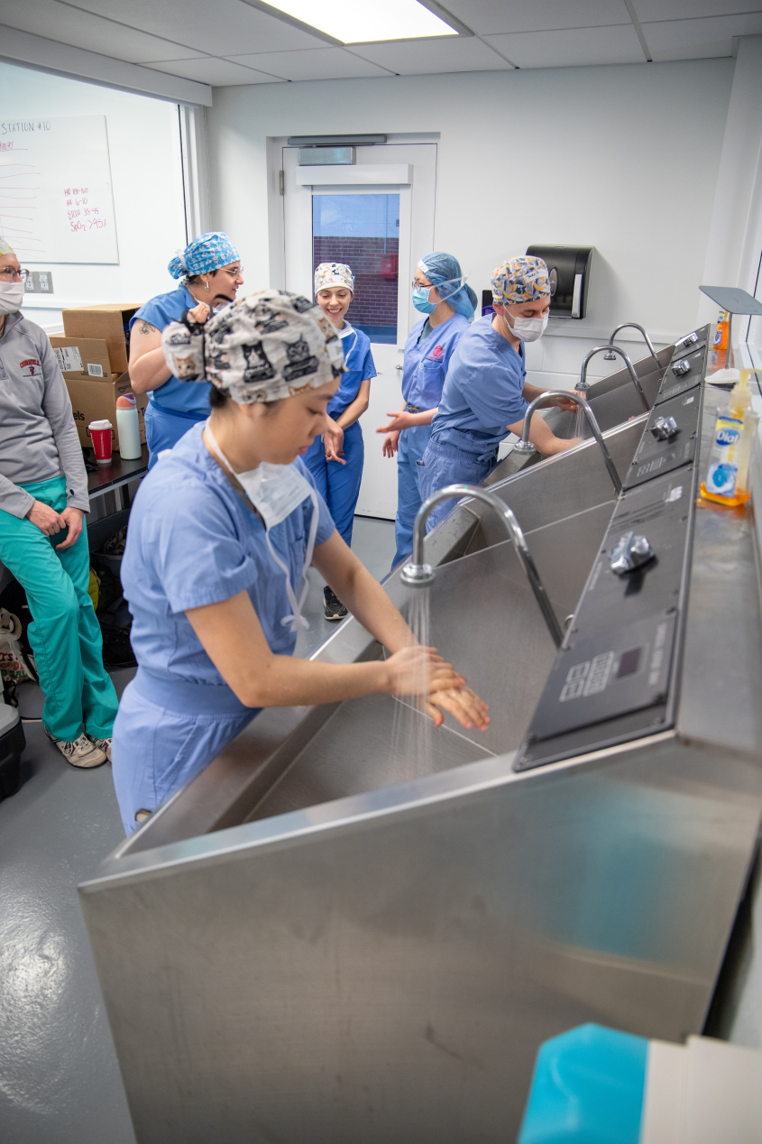 Several woman in scrubs wash their hands to prepare for surgery