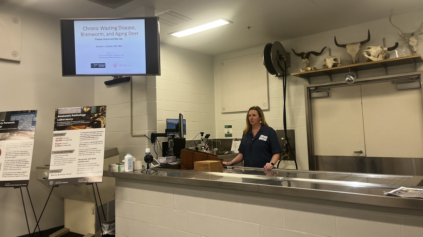 Schuler in the show and tell area presenting to state stakeholders