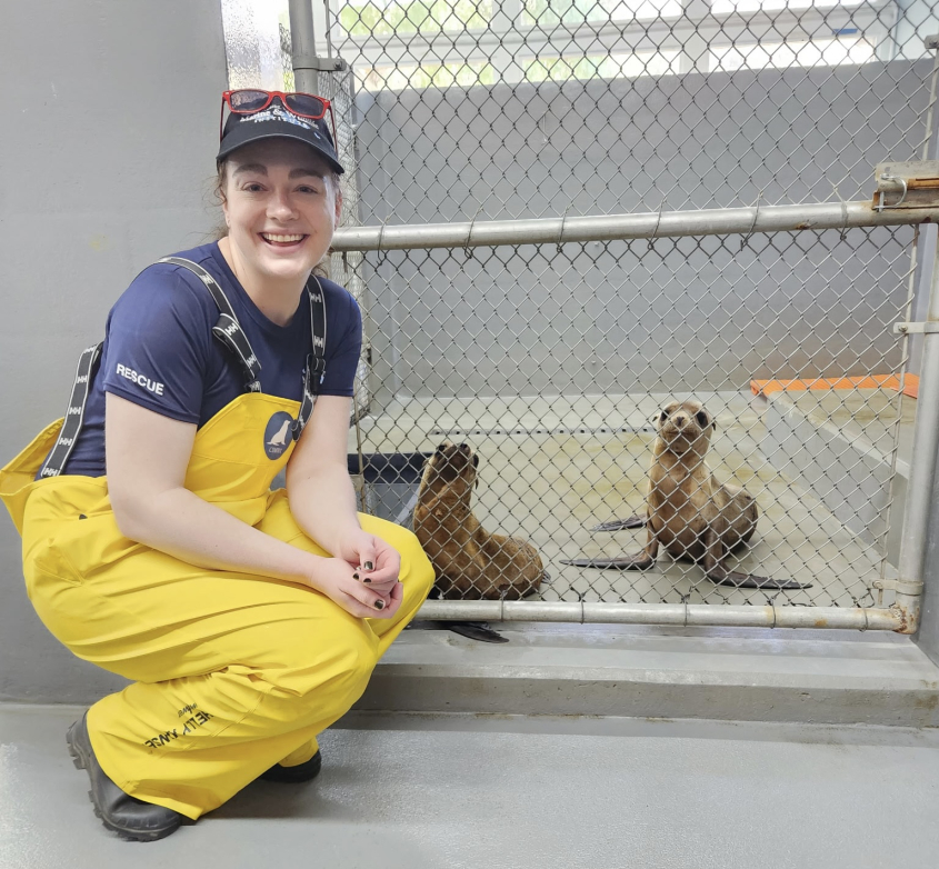 Student kneeling next to cage with baby seals