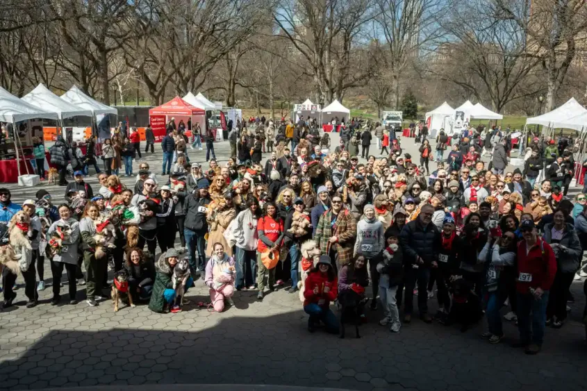 Bark in the Park group shot