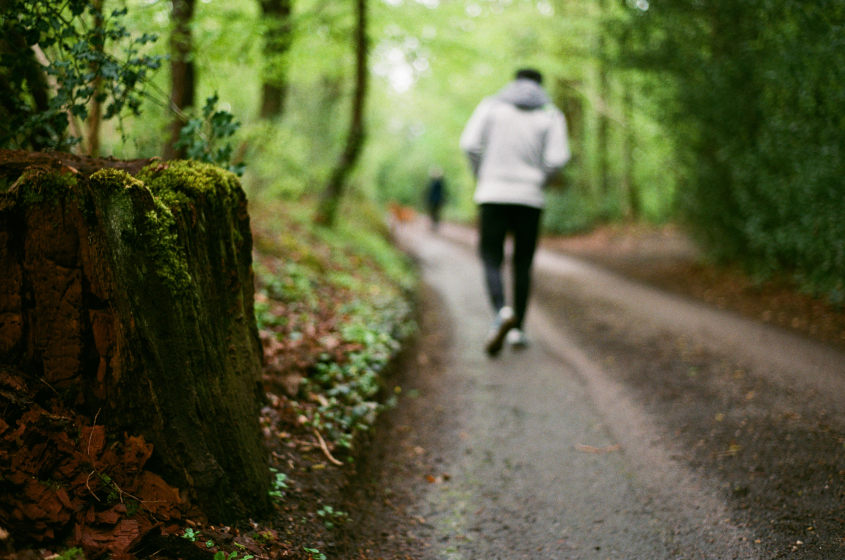 Person walking along a forest path