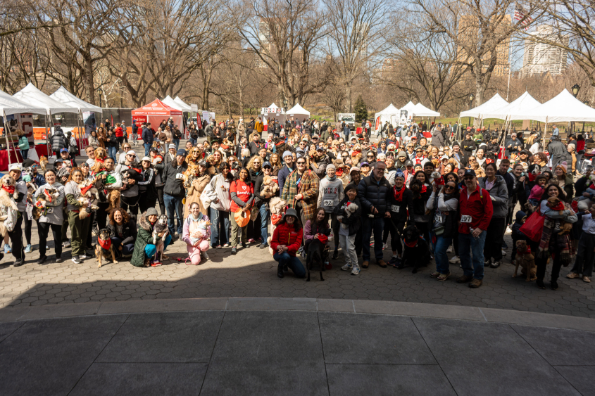 A group of people stand in Central Park with several dogs. 