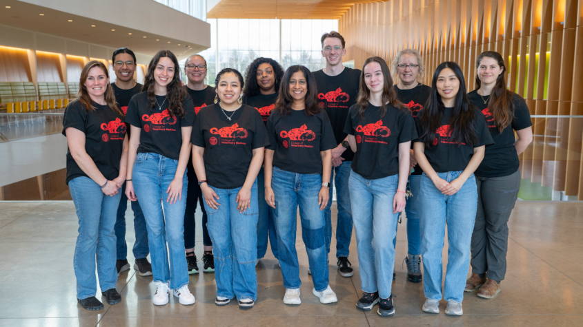 The group of the Open House organizers