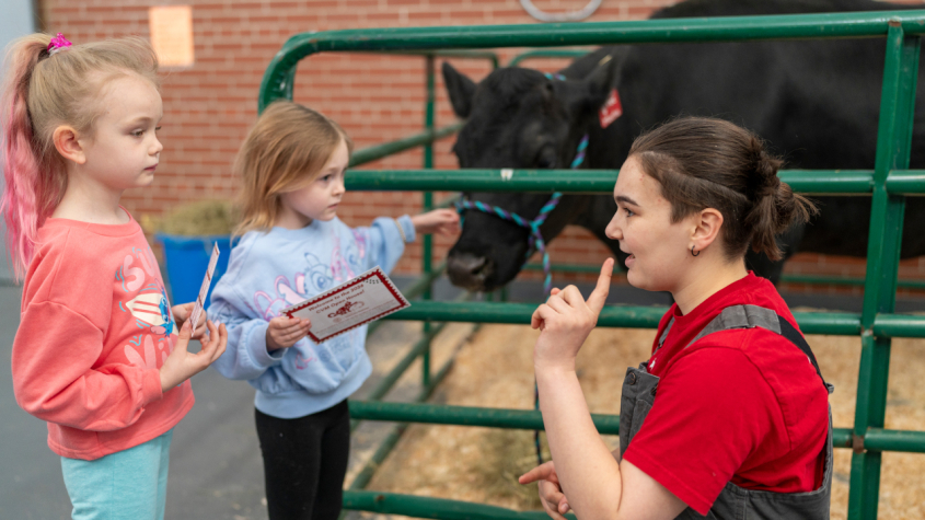 a veterinarian showing a cow to two children