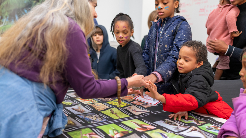Children petting a snake at CVM’s open house