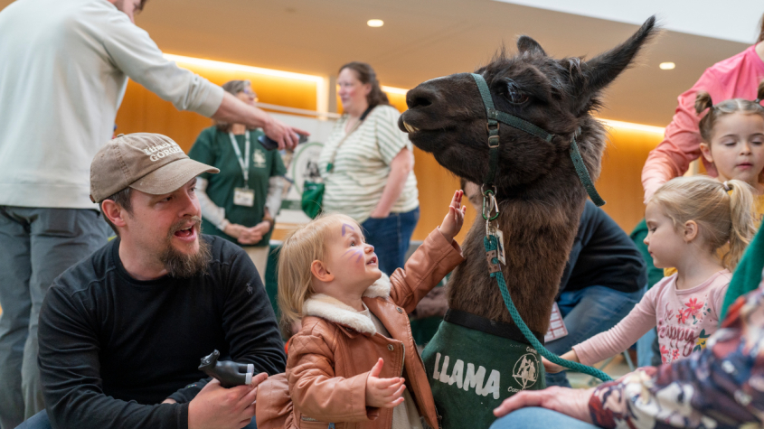 A child petting a llama at the open house