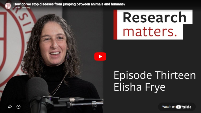 screenshot of Elisha Frye youtube podcast episode