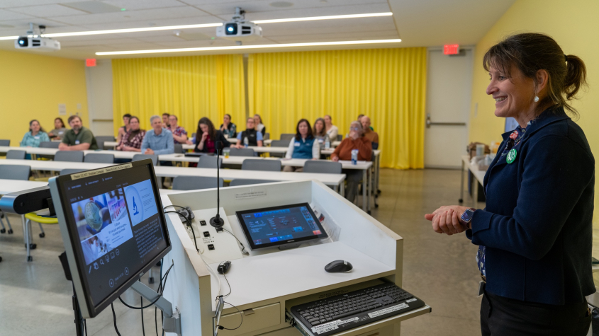 Kim Snedden gives a presentation to a group of small animal professionals in a yellow-themed classroom