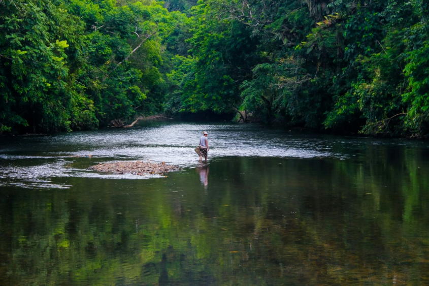 a person wading in a river in a forest