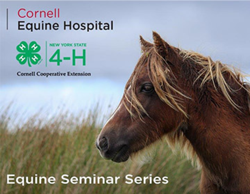 equine seminar series
