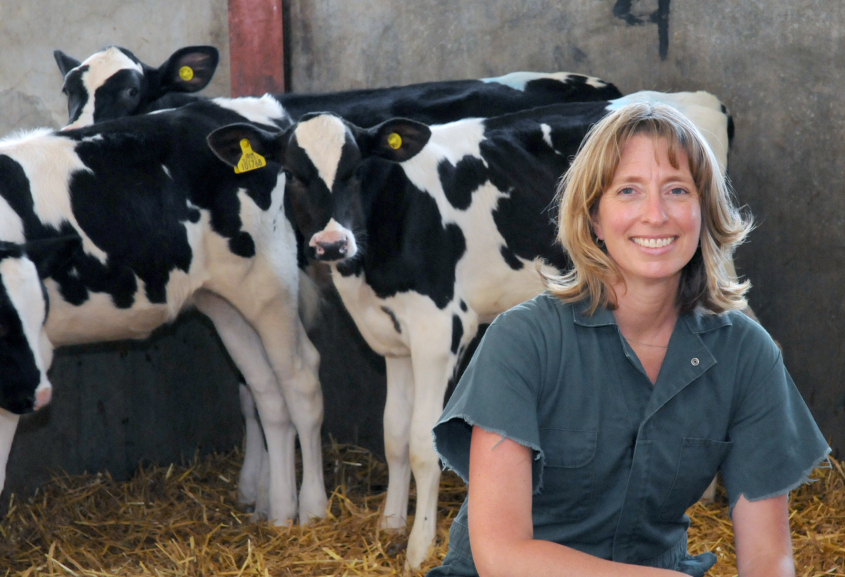 A vet in front of cows