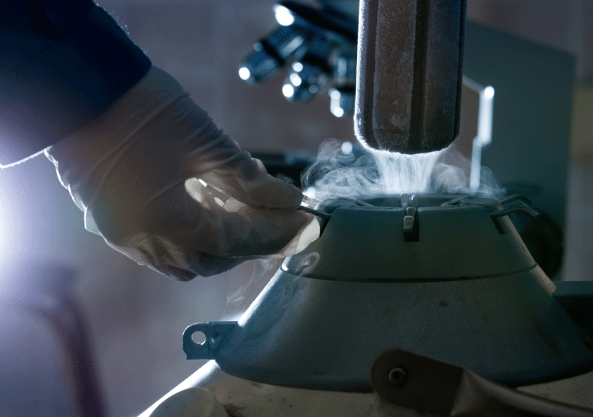 frozen samples being retrieved from a container