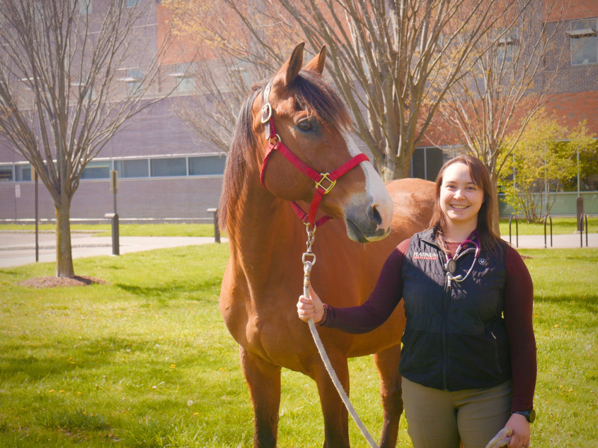 Dr. Sfraga with a horse