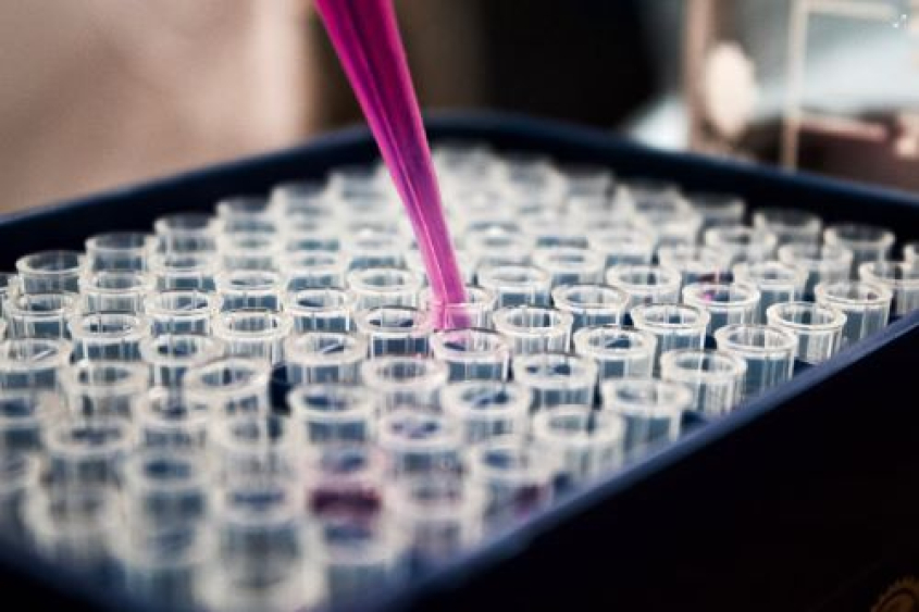 focus on a sample plate